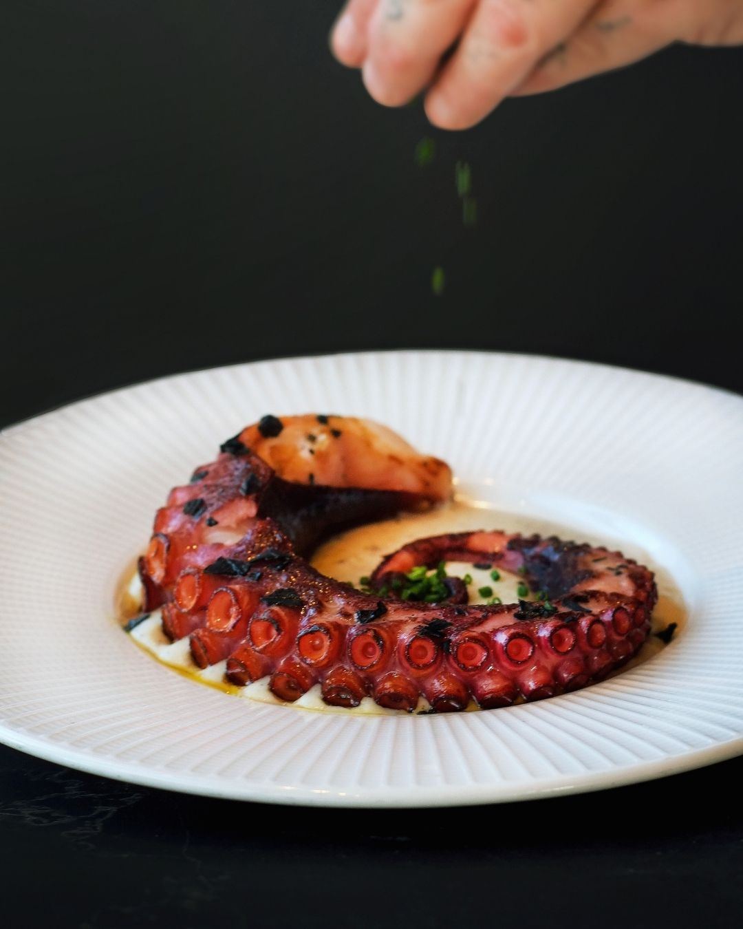 Pulpo emplatado en Aderezo Brasas